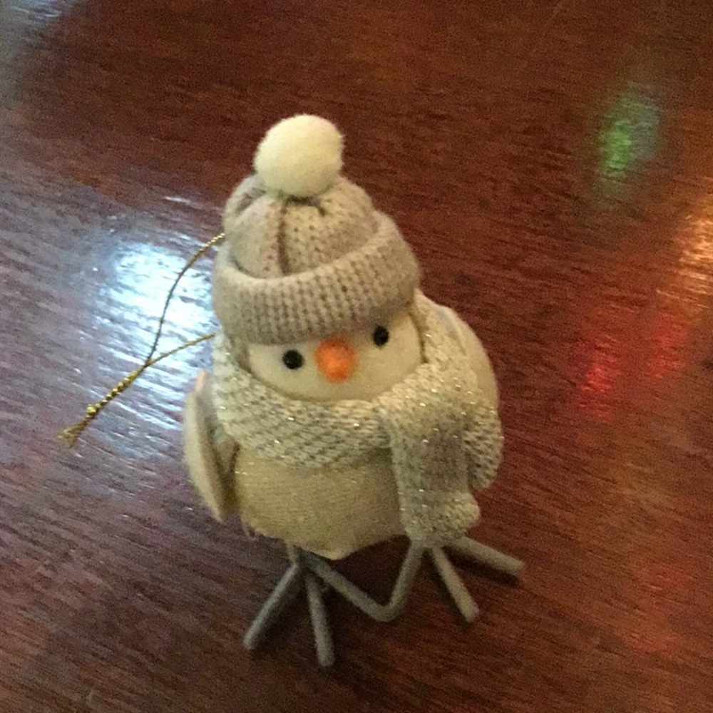 Winter bird Christmas ornament